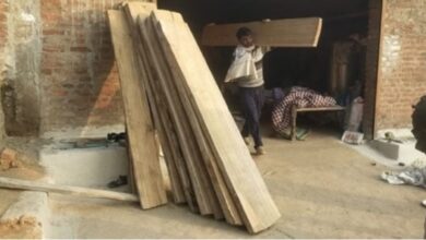 Photo of बफर क्षेत्र में अवैध सागौन की कटाई करने वाला वन रक्षक निलंबित, भारी मात्रा में सागौन जब्त