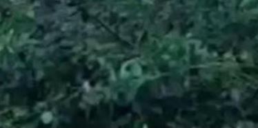 Photo of हरियाणा में बढ़ने लगी गर्मी…31 डिग्री पहुंचा तापमान, इस दिन मौसम में होगा बदलाव