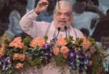 Photo of अमित शाह ने युवाओं का पढ़ा मन; सुनी धड़कन, जिगर के टुकड़े से संबोधित कर भरा जोश