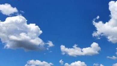 Photo of हरियाणा में पारा 35 डिग्री, बढ़ेगी गर्मी…गेहूं की फसल पर डाल सकता है असर