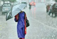 Photo of हरियाणा में मौसम फिर लेगा U-Turn, कल बारिश के साथ गिरेंगे ओले…