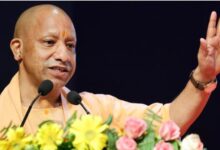 Photo of 277 करोड़ पौधों से यूपी बनेगा हरित प्रदेश, वन विभाग का इस वर्ष भी 35 करोड़ पौधे रोपने का लक्ष्य