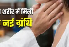 Photo of एम्स भोपाल की स्टडी से मेडिकल साइंस को नई उम्मीद, दुनिया के सामने आई शरीर की ये खास ग्रंथि