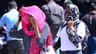 Photo of पंजाब में हीट वेव: 41 डिग्री के साथ बठिंडा सबसे गर्म, चार दिनों का यलो अलर्ट जारी