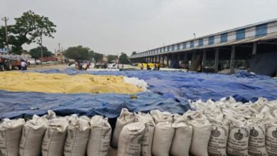 Photo of हरियाणा में पश्चिम विक्षोभ सक्रिय: 19 अप्रैल तक मौसम परिवर्तनशील रहने के आसार