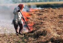 Photo of हरियाणा: गेहूं के फाने जलाने के मामलों ने तोड़ा 5 साल का रिकॉर्ड