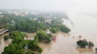 Photo of दिल्ली: इस बार पल्ला से ओखला तक यमुना की हर हलचल पर रहेगी पैनी नजर