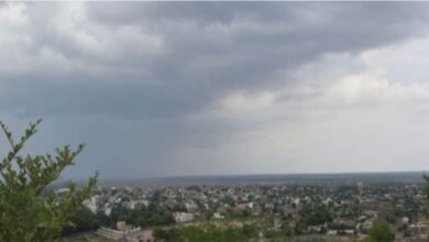 Photo of राजस्थान में फिर बदला मौसम; नागौर, जोधपुर, पाली समेत 10 जिलों में तूफान का अलर्ट