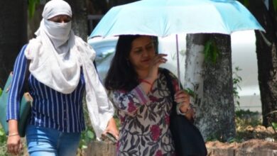 Photo of पंजाब में भीषण गर्मी: तीन दिन हीट वेव का अलर्ट जारी, 44 डिग्री के पार पहुंचा पारा