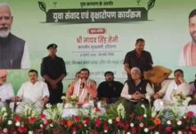 Photo of हरियाणा में बनेगा ग्रीन मॉडल, पिंजौर में ऑक्सीजन जोन और हर्बल पार्क पर सीएम सैनी का बड़ा ऐलान