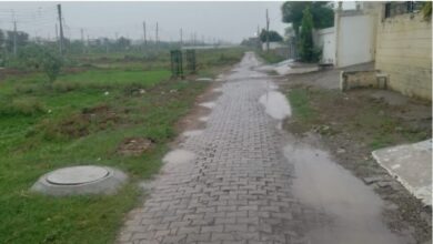 Photo of हरियाणा में दिखा मानसून का दम: 16 जिलों में झमाझम बरसे बदरा, सड़कों पर जलभराव