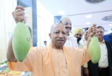 Photo of लखनऊ आम महोत्सव का शुभारंभ, आधा किलो का आम देख मुस्कुराए सीएम योगी