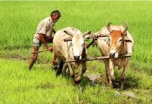 Photo of हरियाणा में 1.40 लाख एकड़ जमीन को जलभराव से मिलेगी मुक्ति