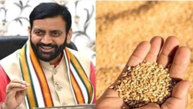 Photo of हरियाणा के किसानों को बड़ी राहत, फसल कटाई के बाद भी 14 दिन तक मिलेगा बीमा सुरक्षा कवच