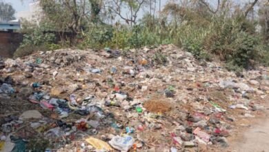 Photo of Punjab: सफाई कर्मचारियों की हड़ताल पर हाईकोर्ट सख्त, पंजाब सरकार को हिदायत