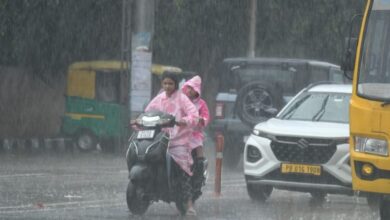 Photo of पंजाब में 26 फीसदी बारिश कम: बांधों में घटा जलस्तर, खेती और बिजली संकट का खतरा