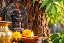 Photo of घर के पास है नीम का पेड़? पितृ दोष और शनि की महादशा से राहत के लिए तुरंत करें यह काम