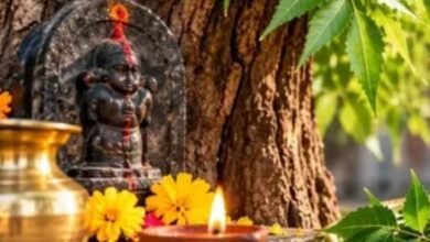 Photo of घर के पास है नीम का पेड़? पितृ दोष और शनि की महादशा से राहत के लिए तुरंत करें यह काम