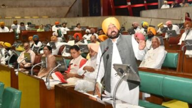 Photo of पंजाब विधानसभा में ई-20 के खिलाफ प्रस्ताव पास: सीएम मान बोले-अमेरिका जो कहता है, वो ही करते हैं