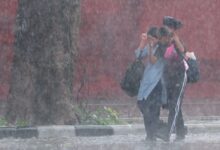 Photo of पंजाब में आज यलो अलर्ट: चार जिलों में भारी बरसात की संभावना