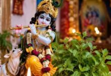 Photo of जन्माष्टमी पर तुलसी के बिना अधूरी क्यों है श्रीकृष्ण की पूजा?
