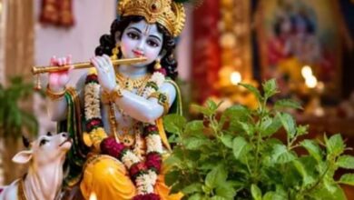 Photo of जन्माष्टमी पर तुलसी के बिना अधूरी क्यों है श्रीकृष्ण की पूजा?