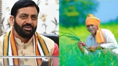 Photo of हरियाणा में अब बढ़ेगी किसानों की आय… इन फसलों की खेती पर सरकार देगी सब्सिडी