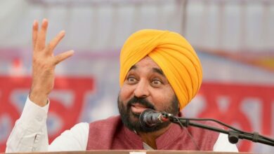 Photo of हम पंजाब को शिक्षा के केंद्र के रूप में विकसित कर रहे हैं: सीएम मान