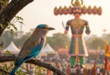 Photo of दशहरे पर ‘नीलकंठ’ पक्षी का दिखना क्यों माना जाता है शुभ?